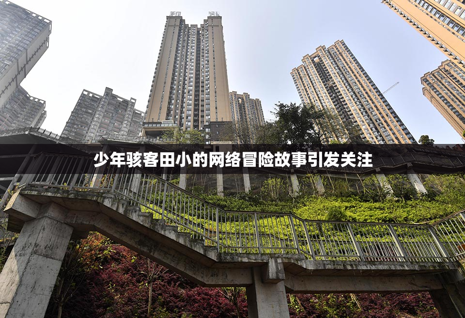 少年骇客田小的网络冒险故事引发关注