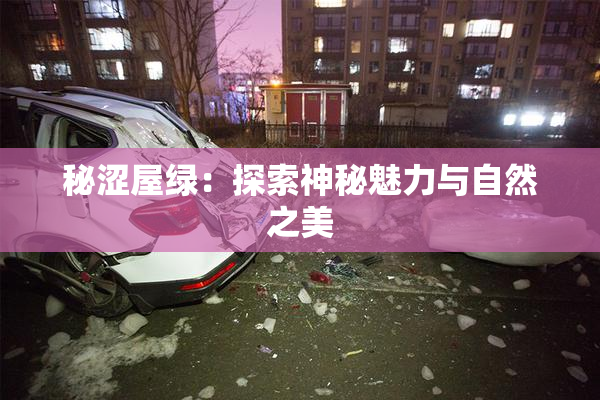 秘涩屋绿：探索神秘魅力与自然之美