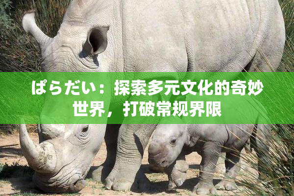 ぱらだい：探索多元文化的奇妙世界，打破常规界限