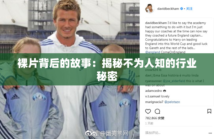 裸片背后的故事：揭秘不为人知的行业秘密