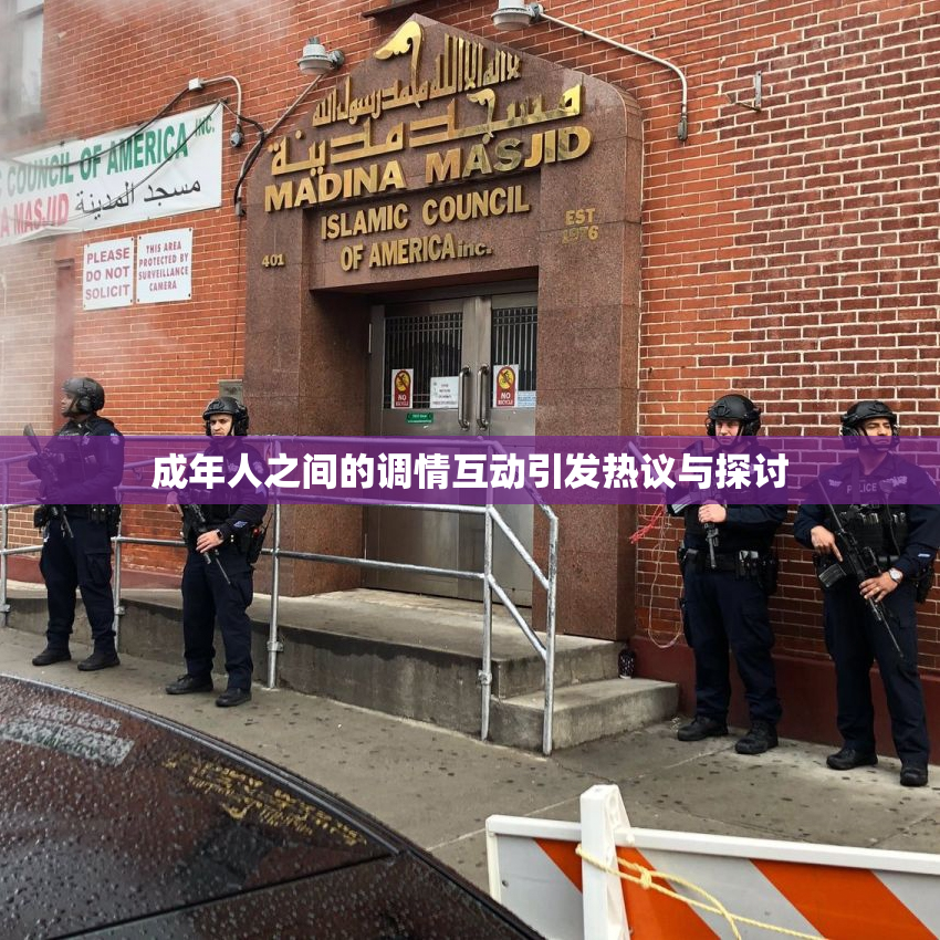 成年人之间的调情互动引发热议与探讨