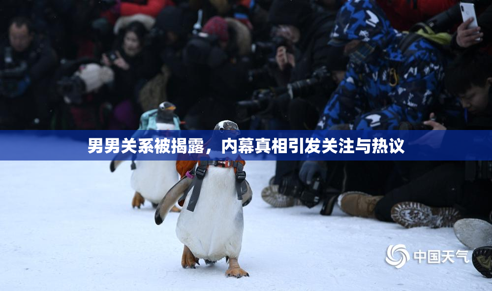男男关系被揭露，内幕真相引发关注与热议
