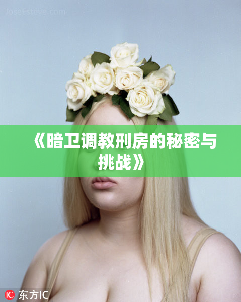 《暗卫调教刑房的秘密与挑战》