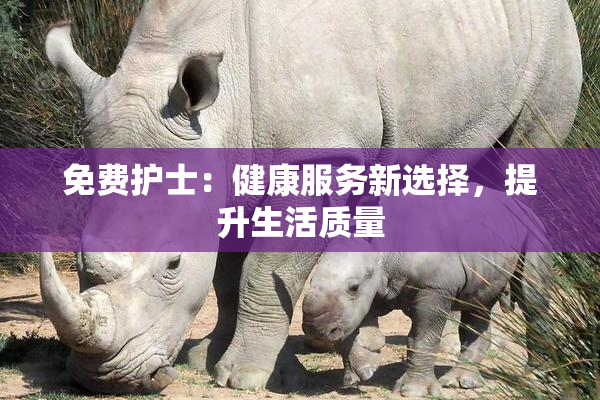 免费护士：健康服务新选择，提升生活质量