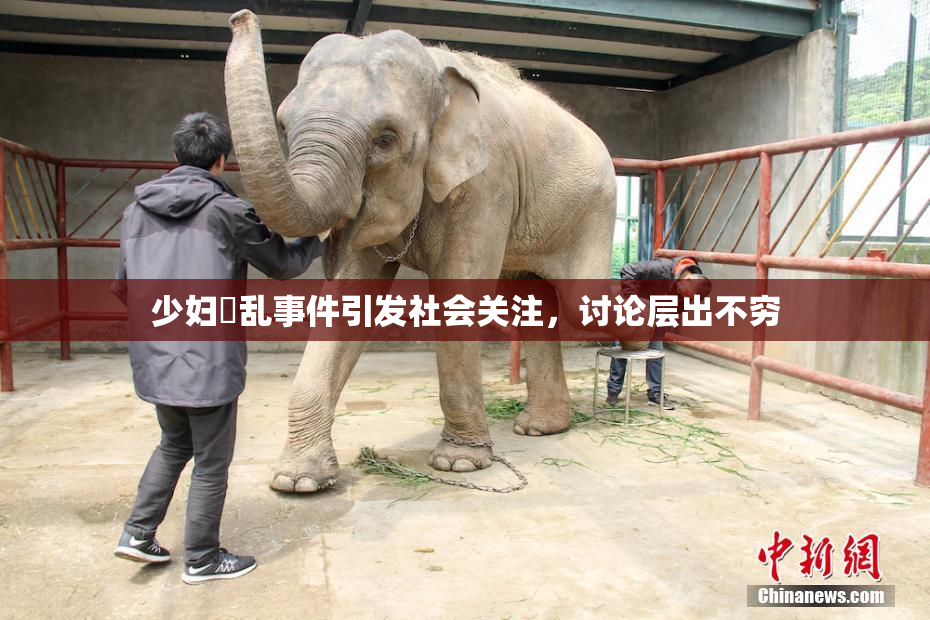 少妇婬乱事件引发社会关注，讨论层出不穷