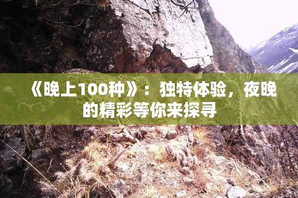 《晚上100种》：独特体验，夜晚的精彩等你来探寻