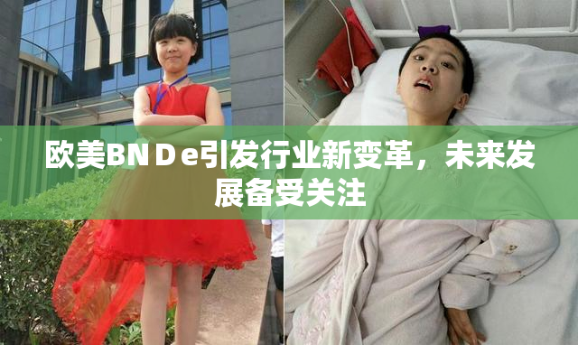 欧美BNＤe引发行业新变革，未来发展备受关注