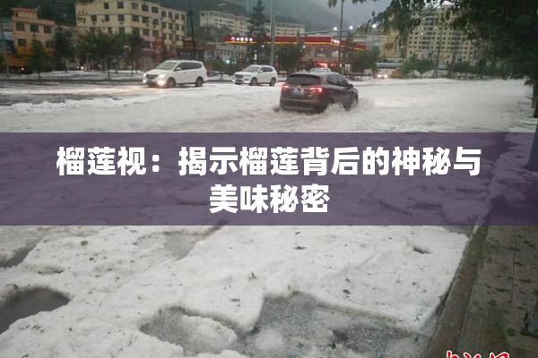 榴莲视：揭示榴莲背后的神秘与美味秘密