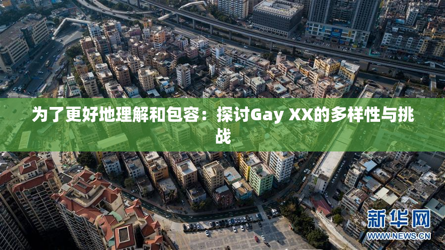 为了更好地理解和包容：探讨Gay XX的多样性与挑战