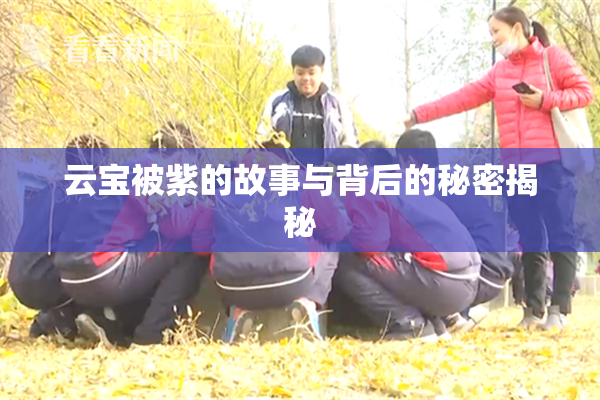 云宝被紫的故事与背后的秘密揭秘