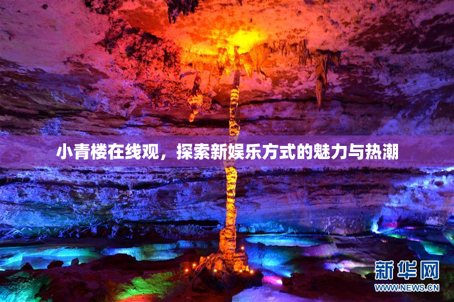 小青楼在线观，探索新娱乐方式的魅力与热潮