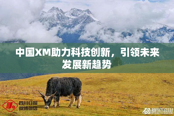 中国XM助力科技创新，引领未来发展新趋势