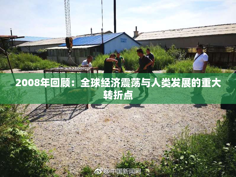 2008年回顾：全球经济震荡与人类发展的重大转折点