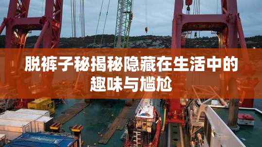 脱裤子秘揭秘隐藏在生活中的趣味与尴尬