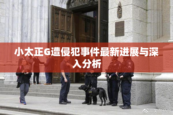 小太正G遭侵犯事件最新进展与深入分析