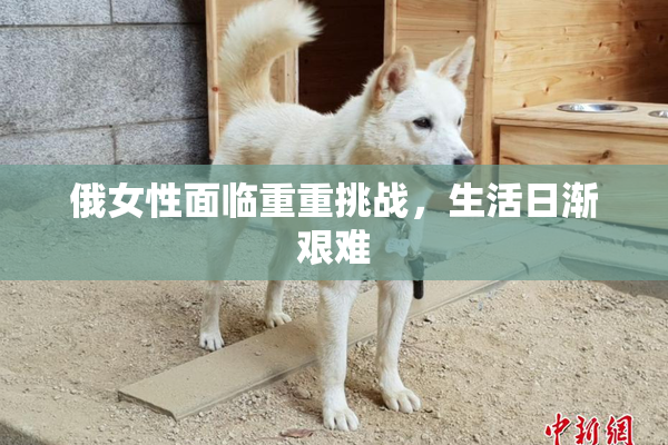 俄女性面临重重挑战，生活日渐艰难