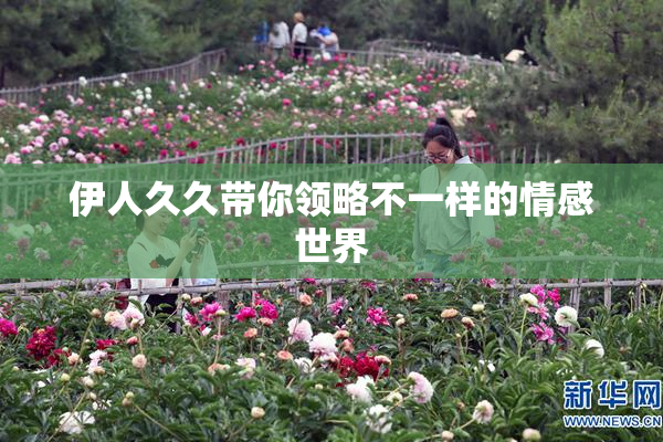 伊人久久带你领略不一样的情感世界