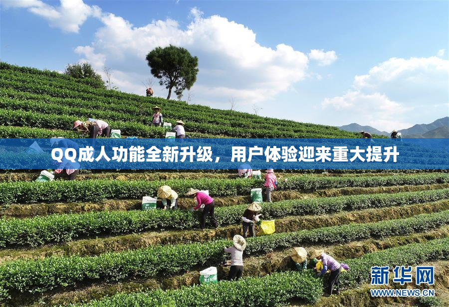QQ成人功能全新升级，用户体验迎来重大提升