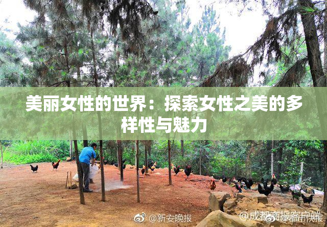 美丽女性的世界：探索女性之美的多样性与魅力