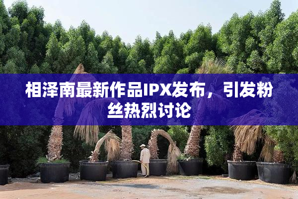 相泽南最新作品IPX发布，引发粉丝热烈讨论