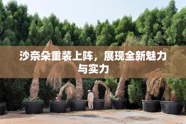 沙奈朵重装上阵，展现全新魅力与实力