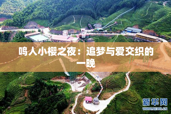 鸣人小樱之夜：追梦与爱交织的一晚