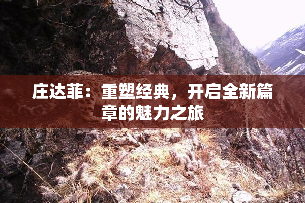 庄达菲：重塑经典，开启全新篇章的魅力之旅