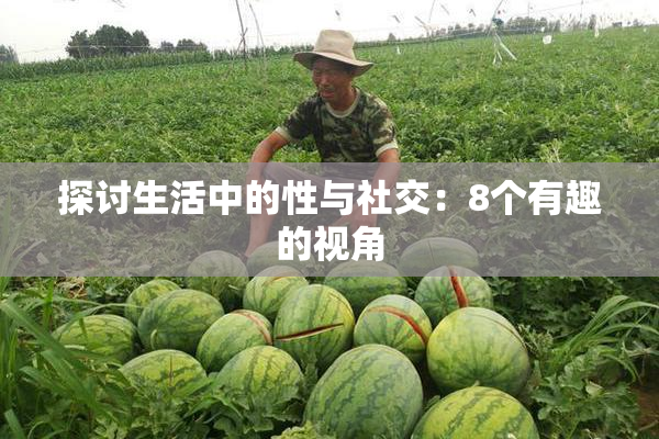 探讨生活中的性与社交：8个有趣的视角