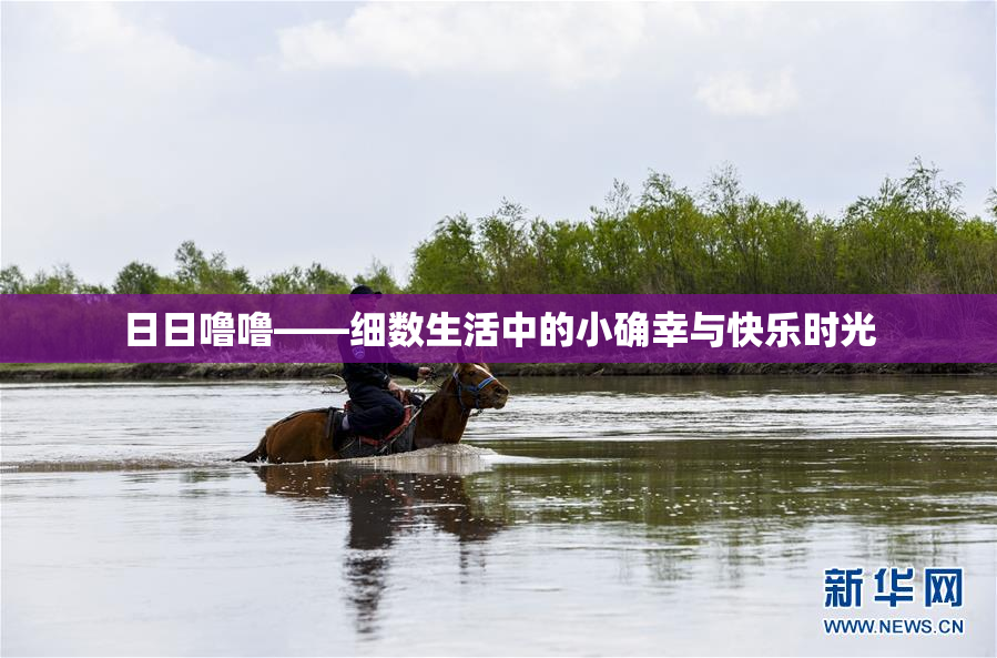日日噜噜——细数生活中的小确幸与快乐时光