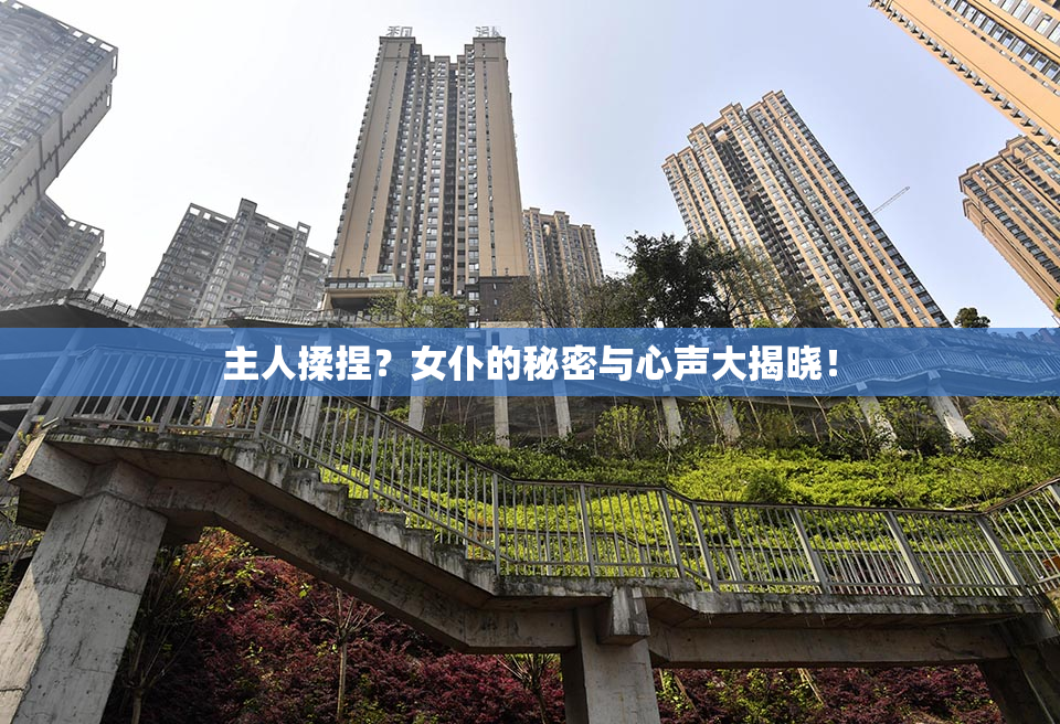 主人揉捏？女仆的秘密与心声大揭晓！