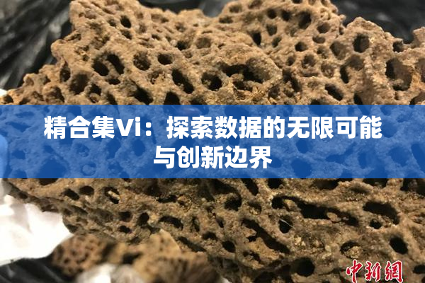 精合集Vi：探索数据的无限可能与创新边界