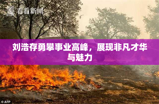 刘浩存勇攀事业高峰，展现非凡才华与魅力