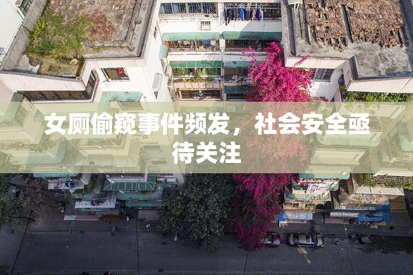 女厕偷窥事件频发，社会安全亟待关注