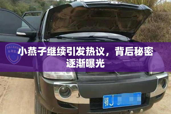小燕子继续引发热议，背后秘密逐渐曝光
