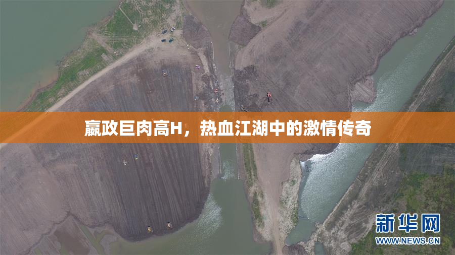 嬴政巨肉高H，热血江湖中的激情传奇