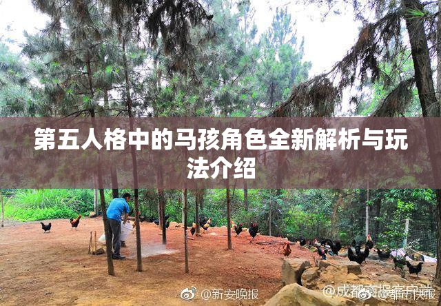 第五人格中的马孩角色全新解析与玩法介绍