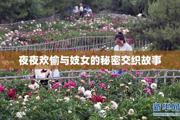 夜夜欢愉与妓女的秘密交织故事