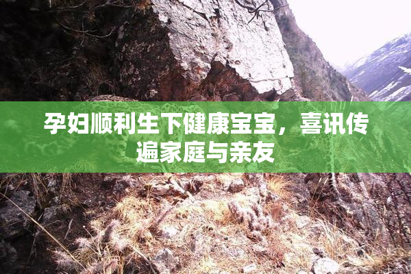 孕妇顺利生下健康宝宝，喜讯传遍家庭与亲友