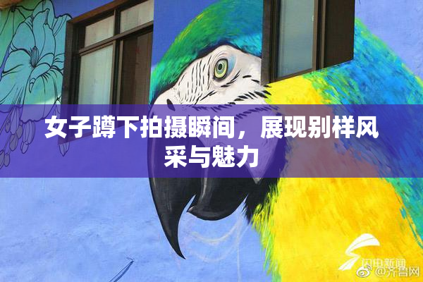 女子蹲下拍摄瞬间，展现别样风采与魅力