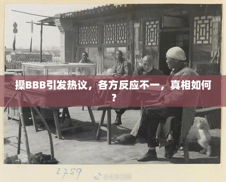 搡BBB引发热议，各方反应不一，真相如何？