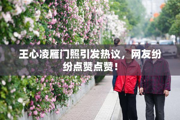 王心凌雁门照引发热议，网友纷纷点赞点赞！