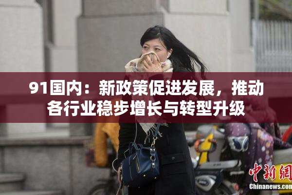 91国内：新政策促进发展，推动各行业稳步增长与转型升级