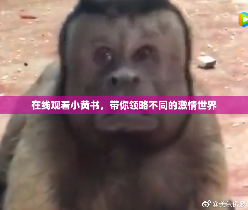 在线观看小黄书，带你领略不同的激情世界
