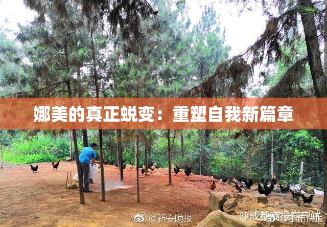 娜美的真正蜕变：重塑自我新篇章