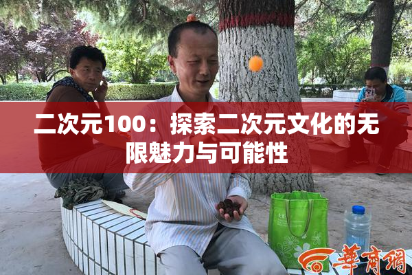 二次元100：探索二次元文化的无限魅力与可能性