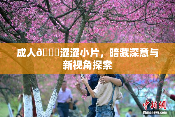 成人🔞涩涩小片，暗藏深意与新视角探索