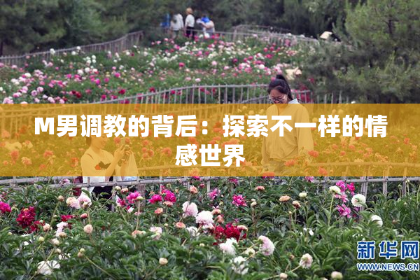 M男调教的背后：探索不一样的情感世界