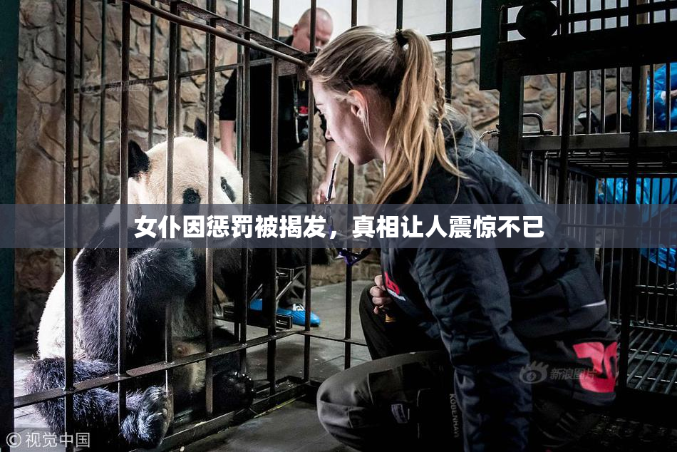 女仆因惩罚被揭发，真相让人震惊不已