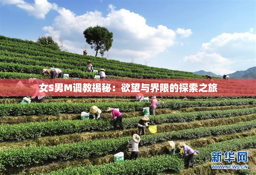 女S男M调教揭秘：欲望与界限的探索之旅