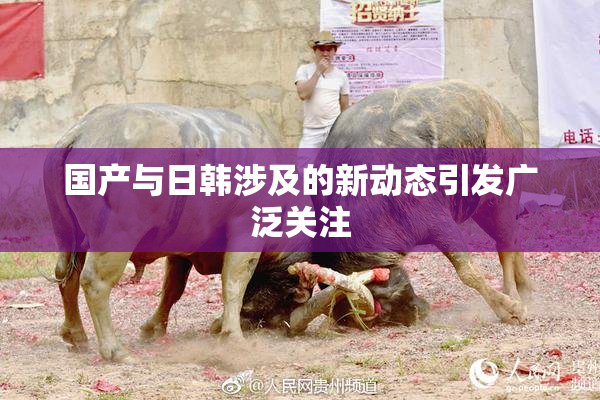 国产与日韩涉及的新动态引发广泛关注